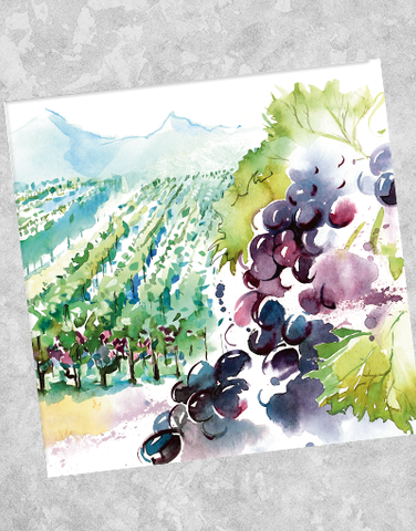 Sonoma Beverage Napkins (40 Count)