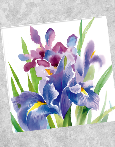 Iris Beauty Beverage Napkins (40 Count)