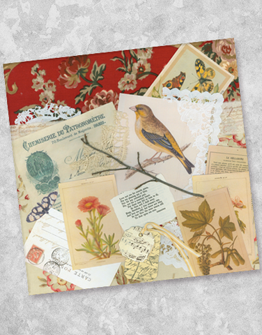 Vintage Memories Beverage Napkins (40 Count)