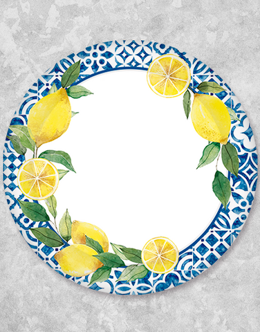 Valencia Dinner Plates (24 Count)