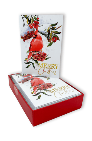 Christmas Cardinal (15 Count Boxed Christmas Cards)