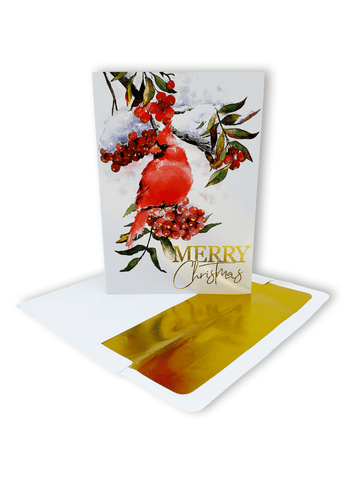 Christmas Cardinal (15 Count Boxed Christmas Cards)