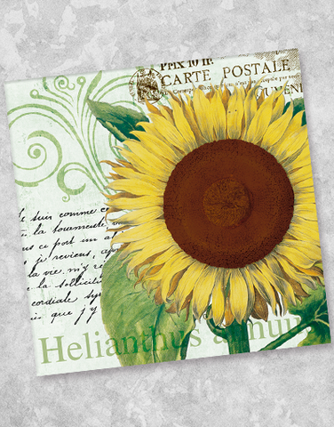 Helianthus Annuus Beverage Napkins (40 Count)