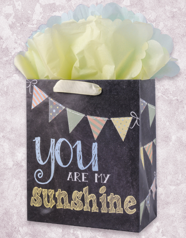 Sunshine Chalk Gift Bags