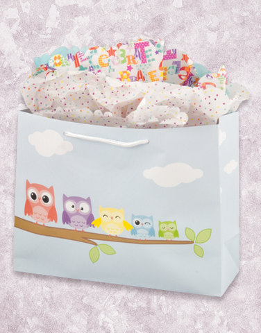 Silly Owls (Market) Gift Bags