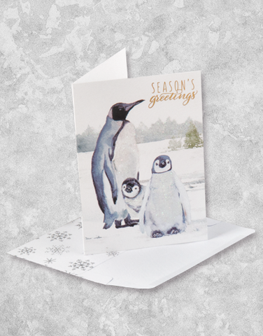 Penguin Family (15 Count Boxed Christmas Cards)