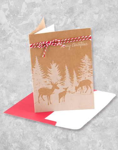 On A Winter Day (10 Count Boxed Christmas Cards)