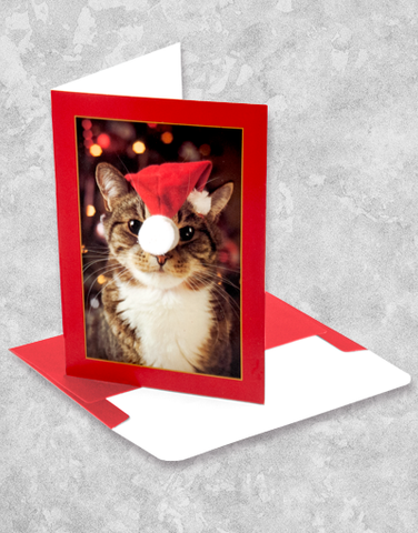 Christmas Kitty (10 Count Boxed Christmas Cards)