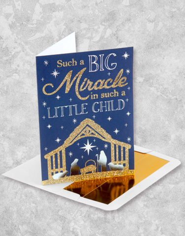 Little Miracle (15 Count Boxed Christmas Cards)