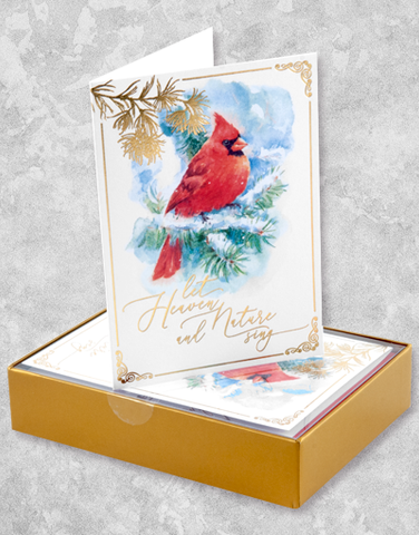 Heavenly Cardinal (15 Count Boxed Christmas Cards)