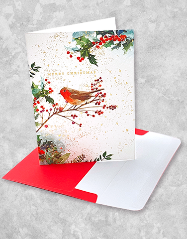 Christmas Robin (15 Count Boxed Christmas Cards)