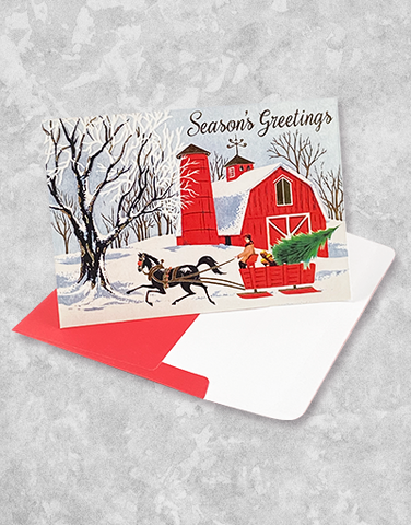 Greetings From The Farm (15 Count Boxed Christmas Cards)