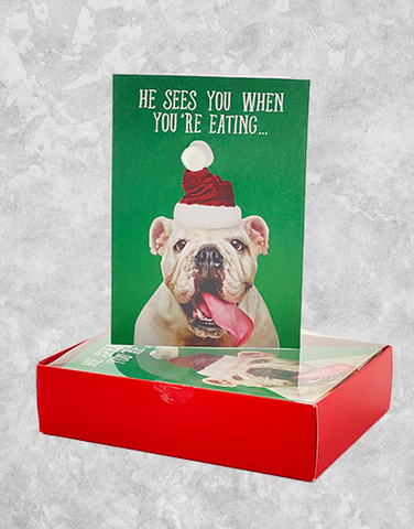 Santa Watch Dog (15 Count Boxed Christmas Cards)