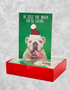 Santa Watch Dog (15 Count Boxed Christmas Cards)