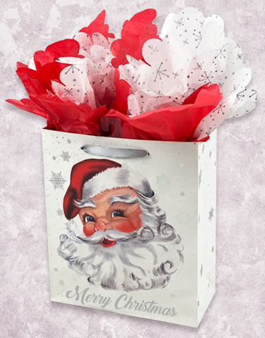 Santa and Snowflakes (Garden) Gift Bags