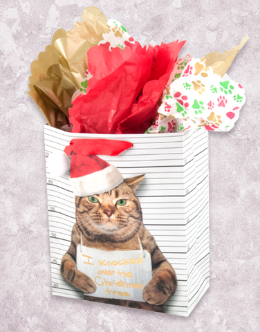 Naughty Cat (Garden) Gift Bags