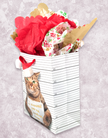 Naughty Cat (Garden) Gift Bags