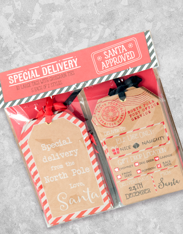 Special Delivery (10 Count Holiday Gift Tags)