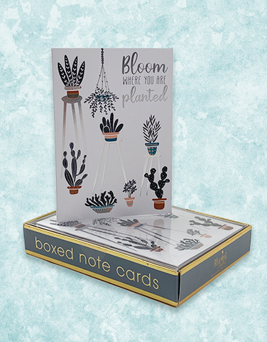 Plant Stand Bloom Note Cards