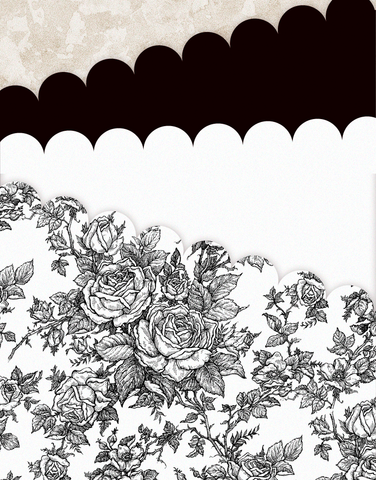 Black Rose Toile Scalloped Tissue Paper